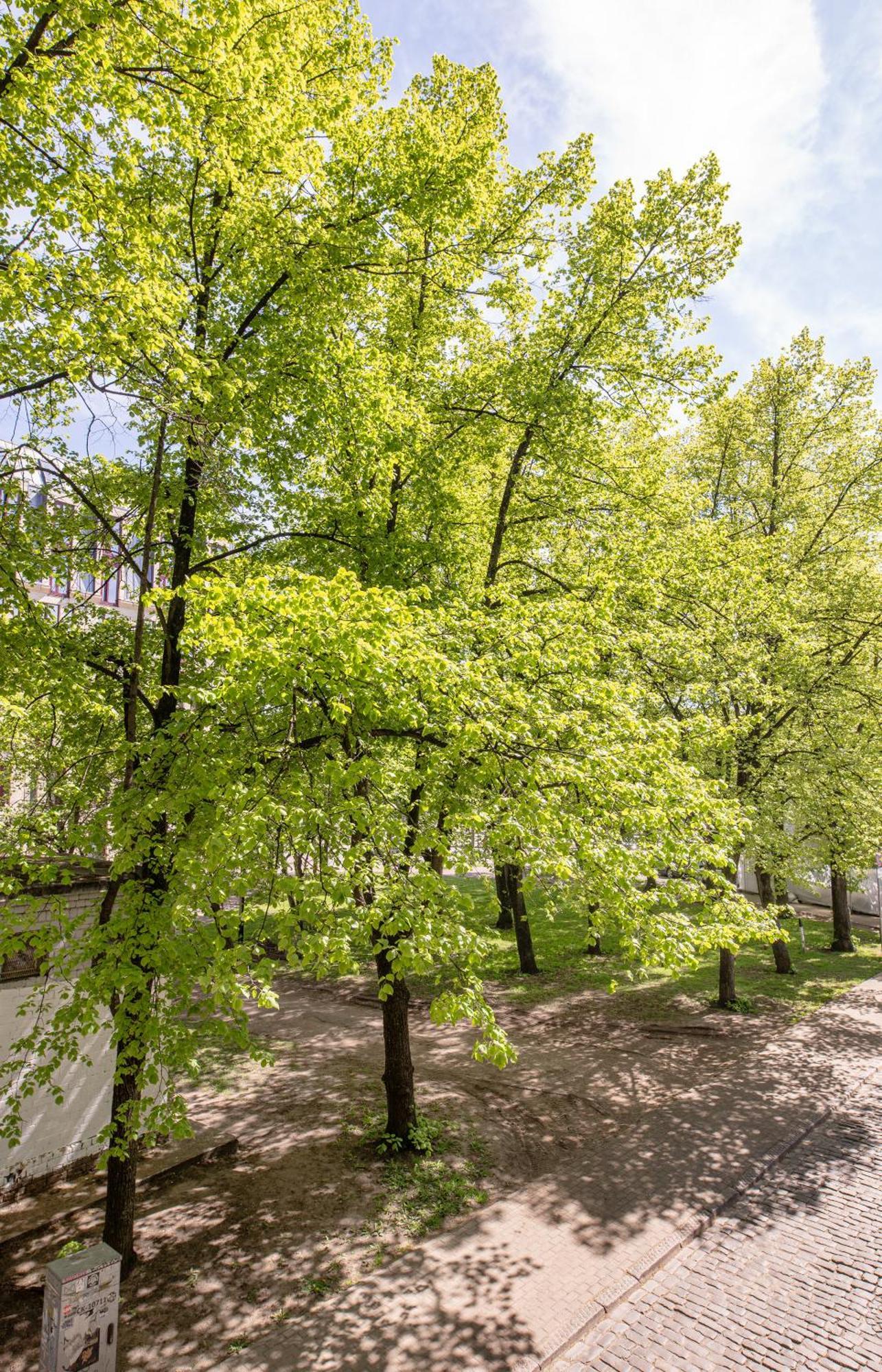 Park View Old Town Huoneisto